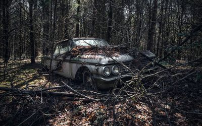放棄されたシボレーインパラ, 森，森林, 1959年の車, シボレーインパラ, レトロな車, 1959シボレーインパラ, アメリカ車, シボレー
