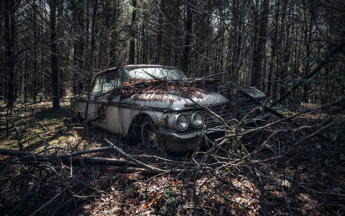 Abandoned Chevrolet Impala, forest, 1959 cars, Chevrolet Impala, retro cars, 1959 Chevrolet Impala, american cars, Chevrolet