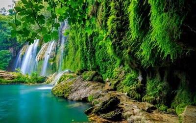 waterfall, tropical forest, lake, jungle