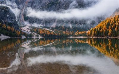 mountain lake, mist, forest, autumn, mountains, USA