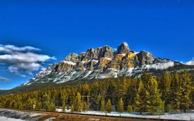 Castle Mountain, winter, forest, Alberta, Canada