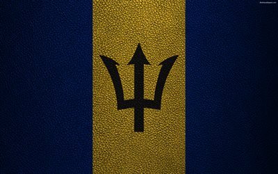 flagge von barbados, 4k, leder textur, nordamerika, barbados flagge, flaggen der welt, barbados