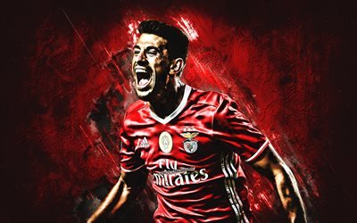 Pizzi, goal, forward, Benfica FC, Primeira Liga, grunge, Juan Antonio Pizzi, portuguese footballers, red stone, SL Benfica, soccer