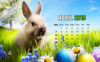 De abril de 2019 Calendario, 4k, la primavera, el conejo de pascua, 2019 calendario, paisaje de primavera, de abril de 2019, el arte abstracto, el Calendario de abril de 2019, obras de arte, calendarios 2019