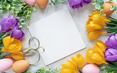 Pâques, tulipes jaunes, de violet, de tulipes, de printemps, les œufs de Pâques, carte de Pâques