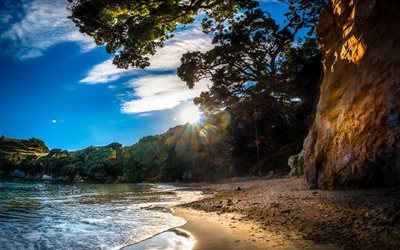 Abel Tasman, Golden Bay, Costa, playa, verano, Nueva Zelanda