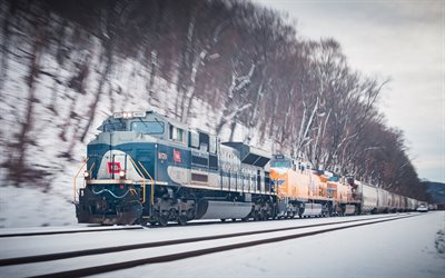 Locomotiva, treno merci, trasporto container, con la consegna del carico, il trasporto, Pennsylvania, USA
