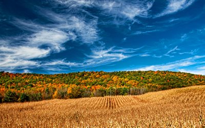 Finger Lakes Region, HDR, autumn, beautiful nature, New York, USA, America