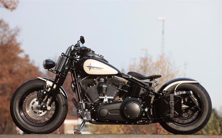 Harley-Davidson Cross Bones, vue de c&#244;t&#233;, r&#233;tro moto, bouchon, Personnalis&#233; Harley-Davidson, Thunderbike, american motos, Harley-Davidson