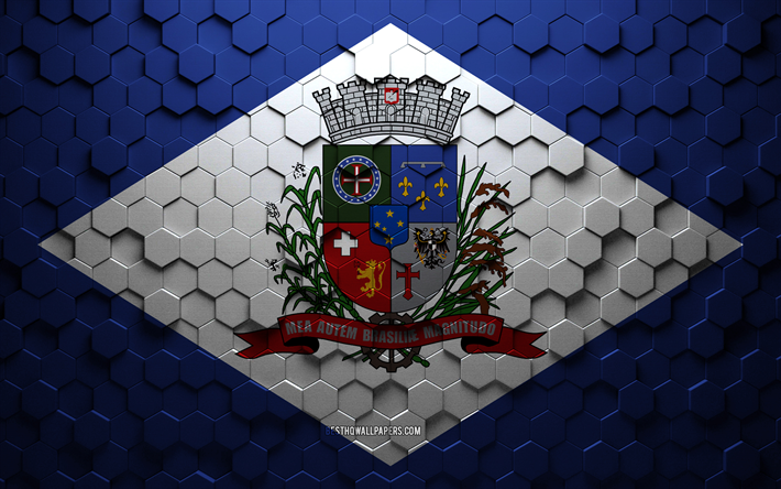 joinvilles flagga, honeycomb art, joinville hexagon flag, joinville 3d hexagon art, joinville flag