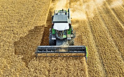 Fendt 5225 E, 4k, EU-spec, combine harvester, 2022 combines, wheat harvest, harvesting concepts, HDR, agriculture concepts, Fendt