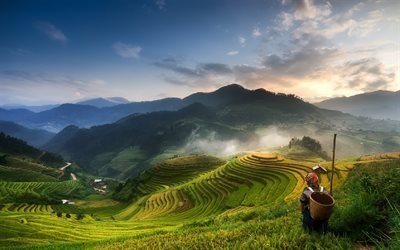 Mucangchai, tramonto, le piantagioni, i campi di riso, Vietnam