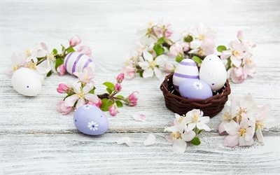 Easter eggs, spring background, white wooden background, Easter decoration, spring flowers, Easter