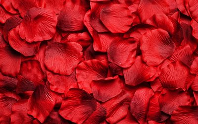 red petals, macro, red petals background, floral petals textures, beautiful flowers, bouquet of flowers, petals patterns