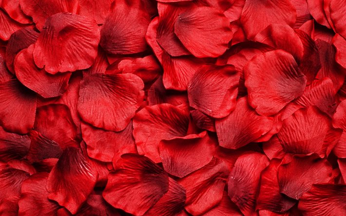 ダウンロード画像 赤い花びら マクロ 赤い花びらの背景 花の花びらの質感 美しい花 花束 花びらのパターン フリー のピクチャを無料デスクトップの壁紙
