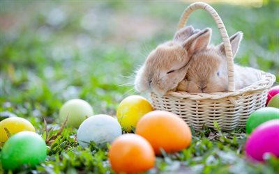 Happy Easter, rabbits, Easter eggs, Easter basket, spring, eggs on the grass, painted eggs