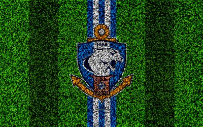 CD Antofagasta, 4k, logo, grass texture, Chilean football club, football lawn, blue white lines, emblem, Antofagasta, Chile, Chilean Primera Division, football, Deportes Antofagasta FC