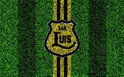 CD San Luis de Quillota, 4k, logo, grass texture, Chilean football club, football lawn, yellow black lines, emblem, Kilot, Chile, Chilean Primera Division, football, san luis fc