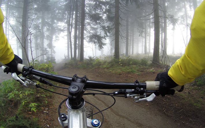 mountain bike, ciclismo nella foresta, manubrio per biciclette, foresta, nebbia, ciclismo