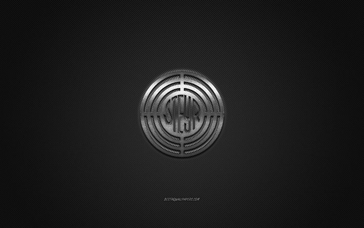 Logo Steyr, logo argent&#233;, fond gris en fibre de carbone, embl&#232;me m&#233;tallique Steyr, Steyr, marques de voitures, art cr&#233;atif