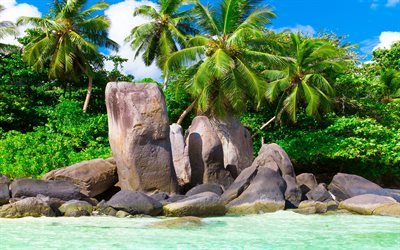 Maldives, beach, palm trees, tropical islands, summer, ocean