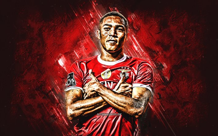 Carlos Vinicius, footballeur Br&#233;silien, Benfica, le portrait, la pierre rouge de fond, football