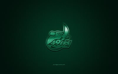 Charlotte 49ers logotipo, Americano futebol clube, NCAA, logotipo verde, verde de fibra de carbono de fundo, Futebol americano, Charlotte, Carolina Do Norte, EUA, Charlotte 49ers