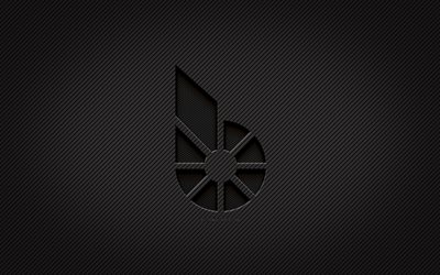 bitshares karbon logosu, 4k, grunge sanat, karbon arka plan, yaratıcı, bitshares siyah logosu, kripto para birimi, bitshares logosu, bitshares