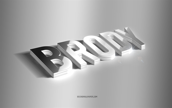 brody, art 3d argent&#233;, fond gris, fonds d &#233;cran avec noms, nom brody, carte de voeux brody, art 3d, photo avec nom brody