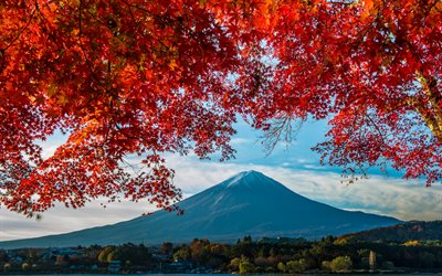 il monte fuji, 4k, acero giapponese, fujiyama, sera, tramonto, paesaggio di montagna, stratovulcano, honshu, giappone
