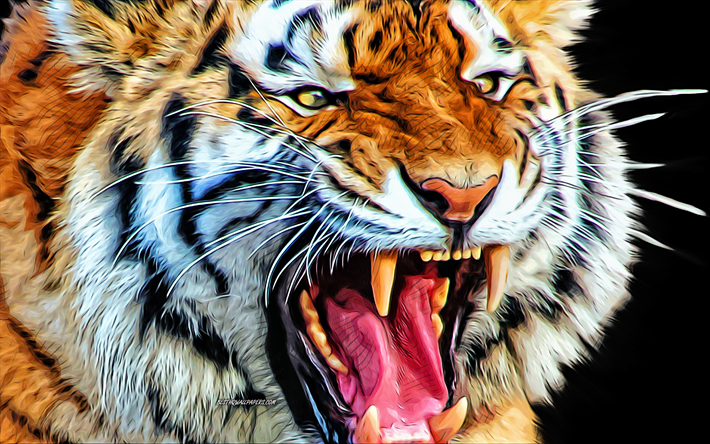 tiger, fury, wild cats, 4k, vector art, tiger drawing, tiger eyes, creative art, tiger art, vector drawing, abstract animals, fury concepts