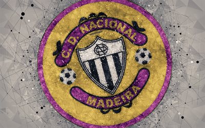 CD Nacional, 4k, geometric art, logo, Portuguese football club, emblem, gray background, Primeira Liga, Funchal, Portugal, football, creative art, Nacional da Madeira