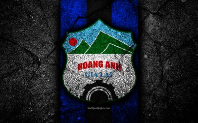 4k, Hoang Anh Gia Lai FC, el emblema, la V de la Liga 1 de f&#250;tbol, Vietnam, el club de f&#250;tbol de la piedra negra, Asia, Hoang Anh Gia Lai, el f&#250;tbol, el asfalto, la textura, el FC Hoang Anh Gia Lai