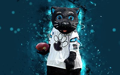 Sir Purr, 4k, mascota, Carolina Panthers, el arte abstracto, de la NFL, creativo, estados UNIDOS, Carolina Panthers mascota de la Liga Nacional de F&#250;tbol americano, la NFL, mascotas, mascota oficial