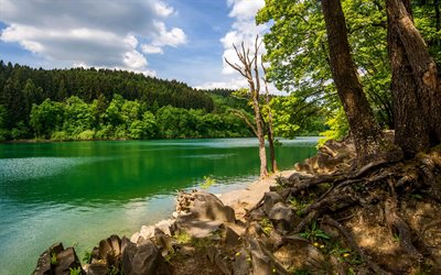 Sauerland, lake, summer, forest, green trees, Germany