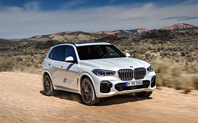 4k, BMW X5, 2019, ホワイトSUV, 砂漠, 速度, 新白X5, ドイツ車, BMW