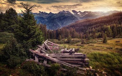 Mountain landscape, sunset, forest, mountain valley, Serfaus, Tyrol, Austria