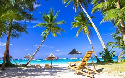 Islas tropicales, la playa, el verano, los &#225;rboles de palma, blanco yates, el mar, los viajes, las vacaciones de verano conceptos