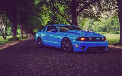 Ford Mustang Shelby GT350, tuning, muscle cars, road, Shelby, blue Mustang, american cars, Ford Mustang, retro cars, Ford