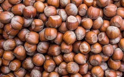 hazelnuts texture, nuts background, big nuts, background with hazelnuts, hazelnuts pattern