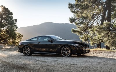 BMW 8 Series, 2019, M850i xDrive, exterior, front view, black sports coupe, new black BMW 8, German cars, BMW