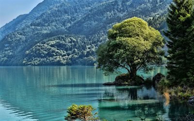 Dolomitas, 4k, las monta&#241;as, los lagos, regi&#243;n de Trentino, Alpes, Europa, la hermosa naturaleza, verano, HDR