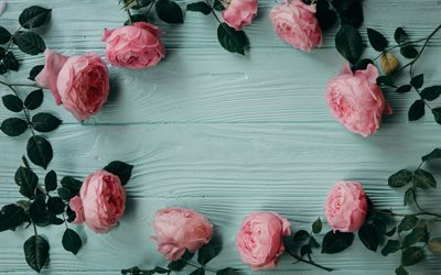 frame of pink roses, floral frame, blue wooden background, rosebuds, pink flowers