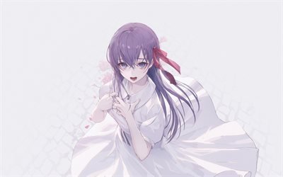Sakura Matou, Fate Stay Night, una chica en el vestido blanco de manga, Mato Sakura, TYPE-MOON, el Destino de la Serie, Destino de la Gran Orden