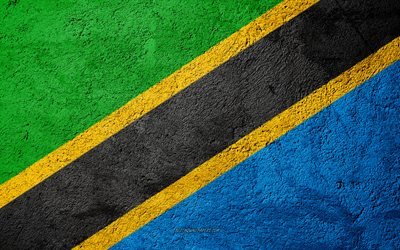 Flag of Tanzania, concrete texture, stone background, Tanzania flag, Africa, Tanzania, flags on stone