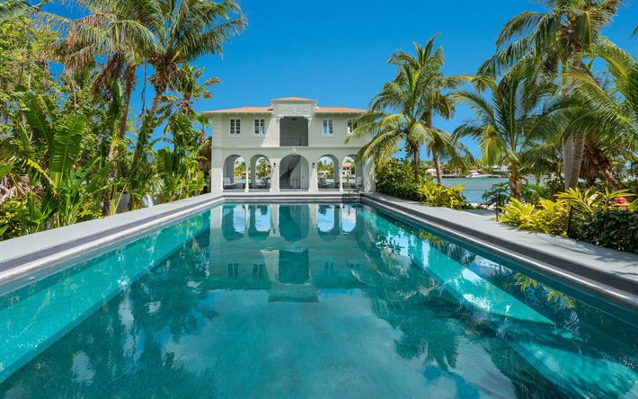 piscine de luxe, villa de luxe, Miami, palmiers, piscine d&#39;arri&#232;re-cour, piscine