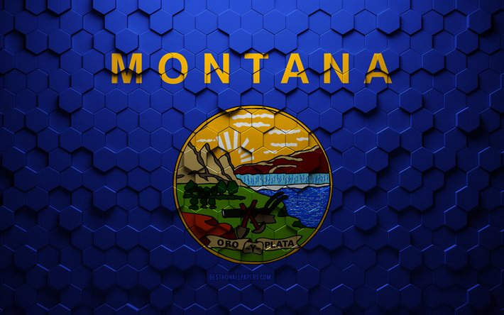 Drapeau du Montana, art en nid d&#39;abeille, drapeau des hexagones du Montana, Montana, art des hexagones 3d, drapeau du Montana