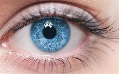 macro eyes, blue eyes, female eyes, beautiful eyes