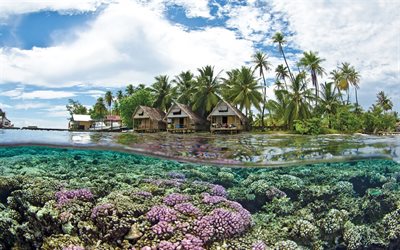 Tahiti, coral reef, ocean, vattnet, tropikerna, Franska Polynesien