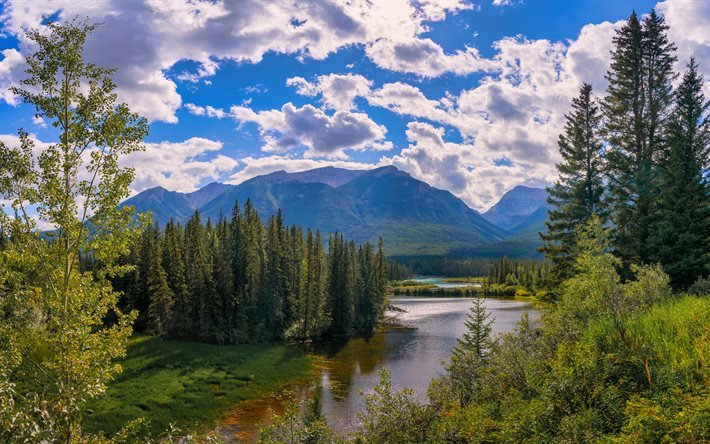 North America, 4k, river, mountains, forest, Banff National Park, summer, Canada, Alberta, Banff, beautiful nature